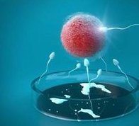 泰国私立试管机构大揭秘